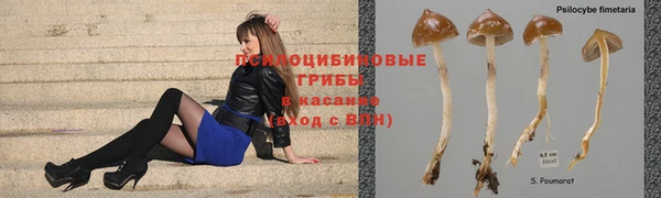 соль курить ск Алексеевка