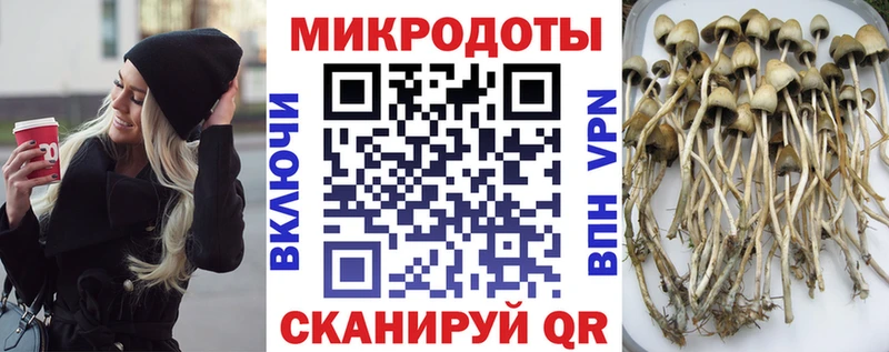 Псилоцибиновые грибы Magic Shrooms Неман